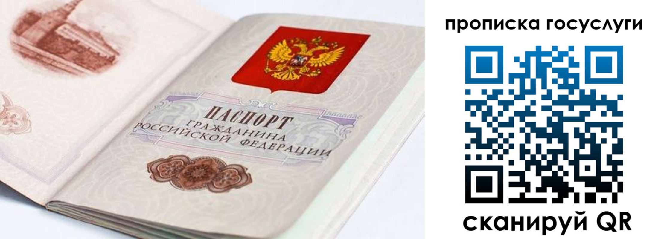 прописка гарантия в Ставрополе